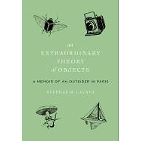 An Extraordinary Theory of Objects: A Memoir of an Outsider in Paris, Stephanie LaCava