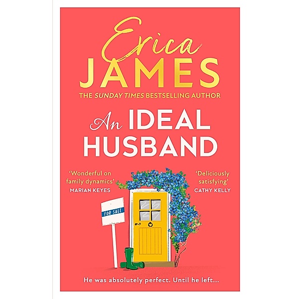 An Ideal Husband, Erica James