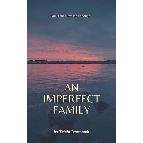 An Imperfect Family, Tricia Drammeh