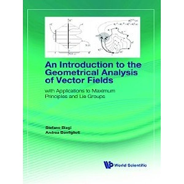 An Introduction to the Geometrical Analysis of Vector Fields, Andrea Bonfiglioli, Stefano Biagi
