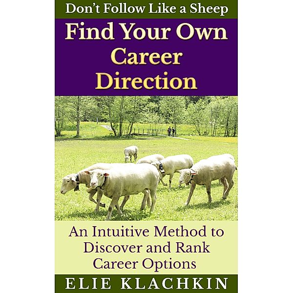 An Intuitive Method to Discover and Rank Career Options, Elie Klachkin