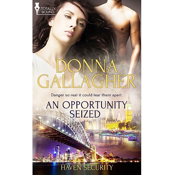 An Opportunity Seized / Haven Security Bd.1, Donna Gallagher