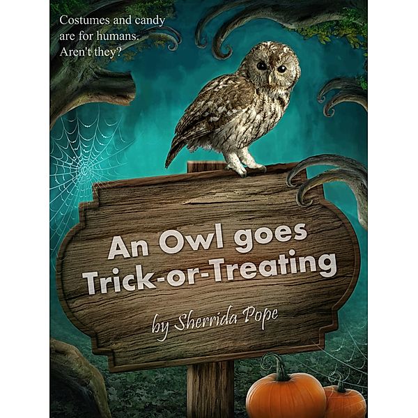 An Owl Goes Trick-or-Treating, Sherrida Pope