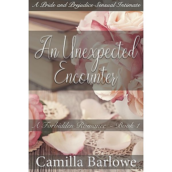 An Unexpected Encounter:A Pride and Prejudice Sensual Intimate (A Forbidden Romance, #1) / A Forbidden Romance, Camilla Barlowe