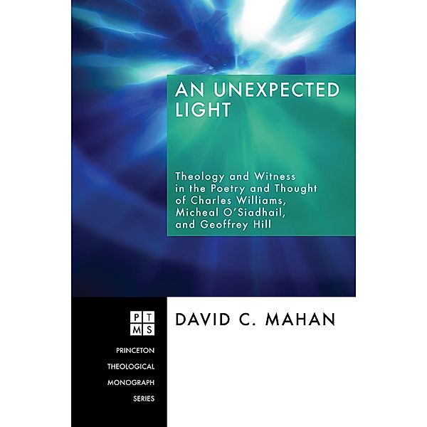 An Unexpected Light / Princeton Theological Monograph Series Bd.103, David C. Mahan
