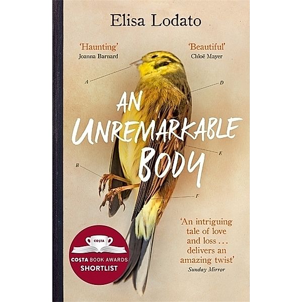 An Unremarkable Body, Elisa Lodato