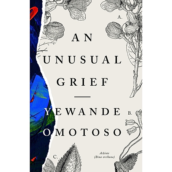 An Unusual Grief, Yewande Omotoso