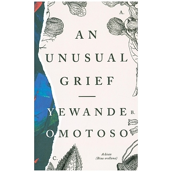 An Unusual Grief, Yewande Omotoso