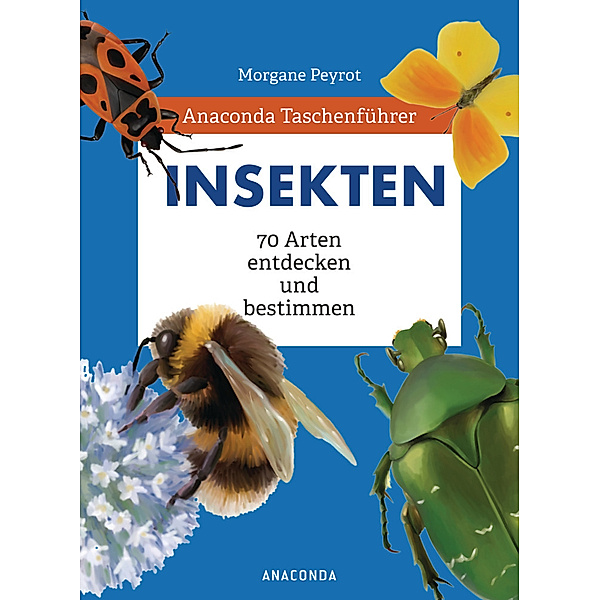 Anaconda Taschenführer Insekten. 70 Arten entdecken und bestimmen, Morgane Peyrot, Lise Herzog