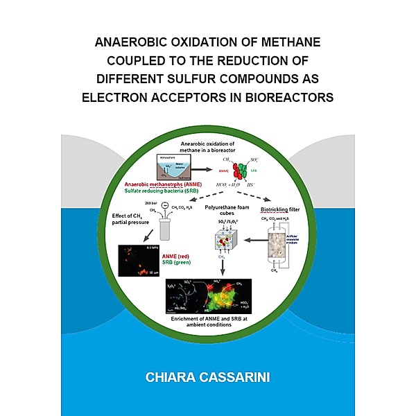 Anaerobic Oxidation of Methane Coupled to the Reduction of Different Sulfur Compounds as Electron Acceptors in Bioreactors, Chiara Cassarini