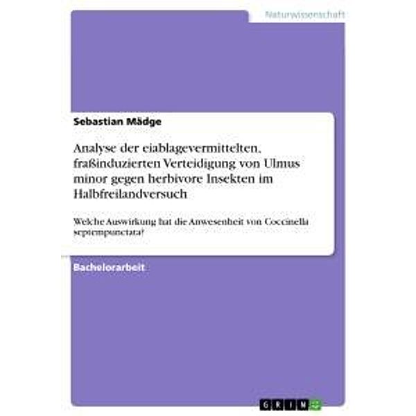 Analyse der eiablagevermittelten, fraßinduzierten Verteidigung von Ulmus minor gegen herbivore Insekten im Halbfreilandv, Sebastian Mädge