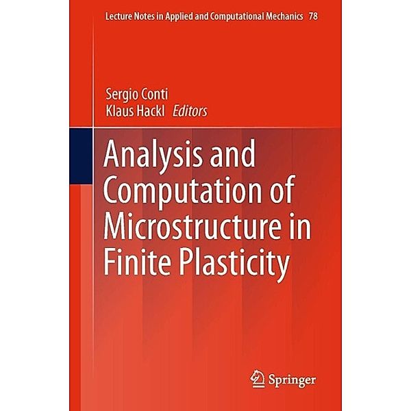 Analysis and Computation of Microstructure in Finite Plasticity / Lecture Notes in Applied and Computational Mechanics Bd.78