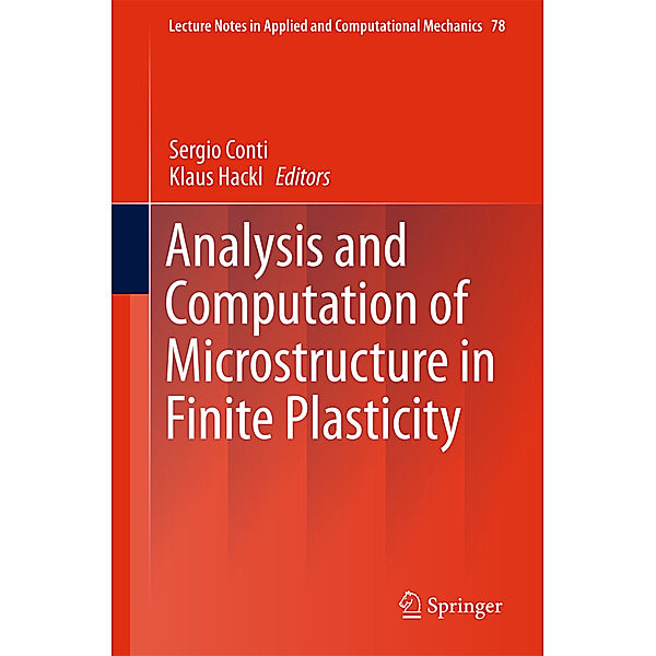 Analysis and Computation of Microstructure in Finite Plasticity