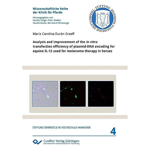 Analysis and improvement of the in vitro transfection efficiency of plasmid-DNA encoding for equine IL-12 used for melanoma therapy in horses