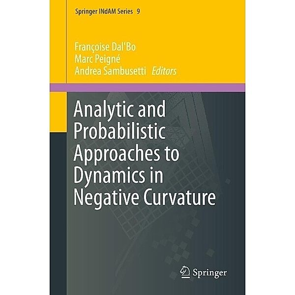 Analytic and Probabilistic Approaches to Dynamics in Negative Curvature / Springer INdAM Series Bd.9