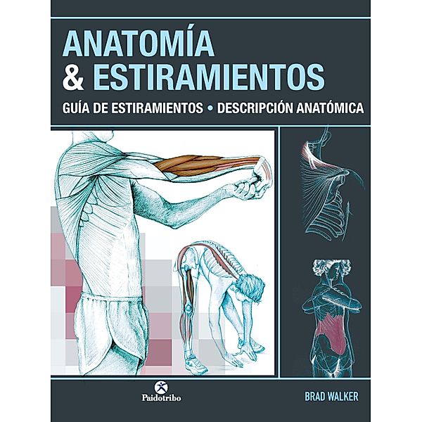 Anatomía & Estiramientos / Estiramientos, Brad Walker