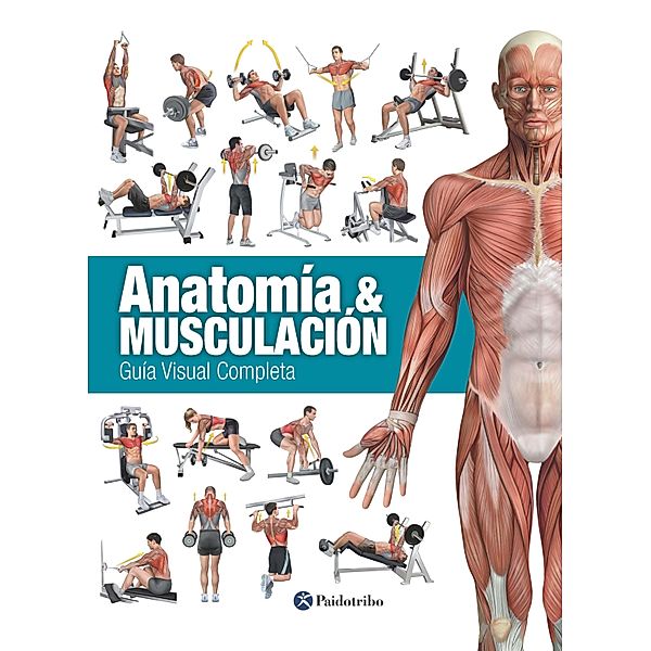 Anatomía & Musculación / Musculación, Ricardo Cánovas Linares