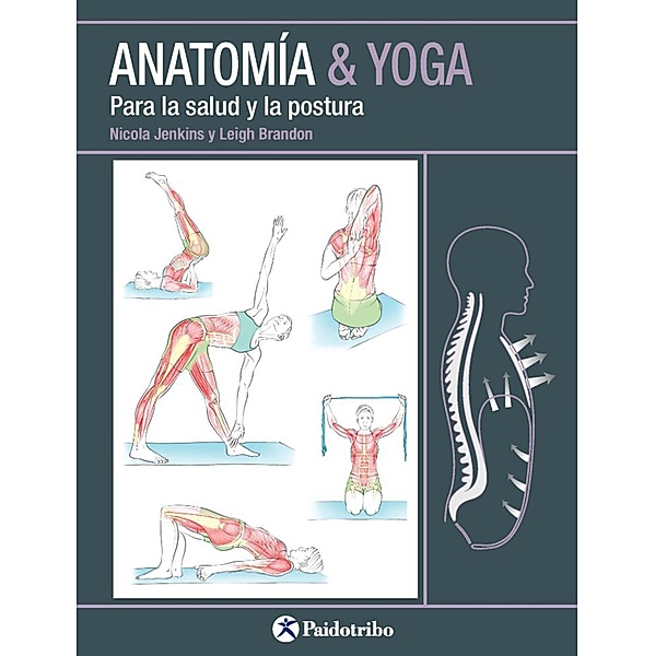 Anatomía & Yoga / Yoga, Nicola Jenkin, Leigh Brandon