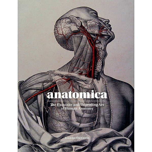 Anatomica, Johanna Ebenstein