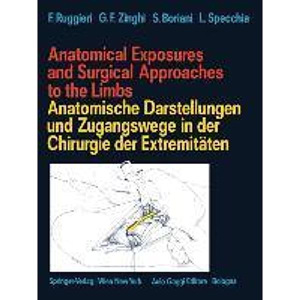 Anatomical Exposures and Surgical Approaches to the Limbs Anatomische Darstellungen und Zugangswege in der Chirurgie der, Francesco Ruggieri, Gian F. Zinghi, Stefano Boriani