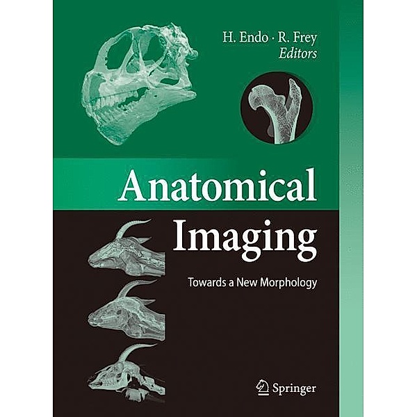 Anatomical Imaging
