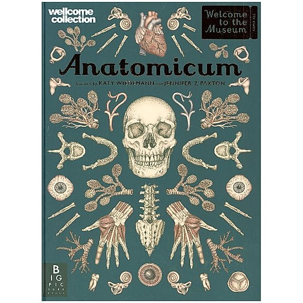 Anatomicum, Jennifer Z. Paxton