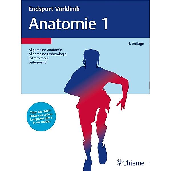 Anatomie