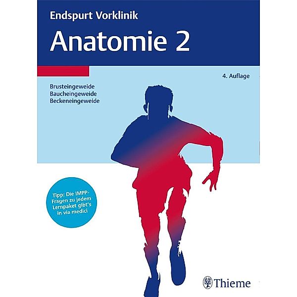 Anatomie