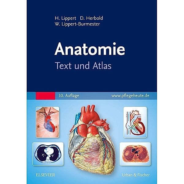 Anatomie, Herbert Lippert, Desiree Herbold, Wunna Lippert-Burmester