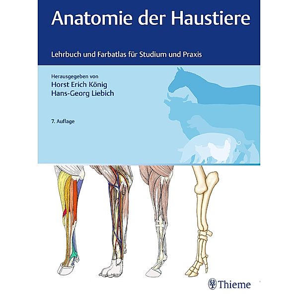 Anatomie der Haustiere