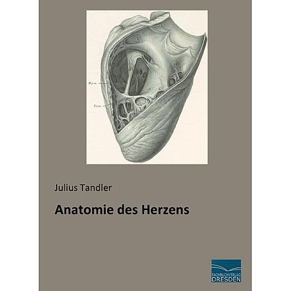 Anatomie des Herzens, Julius Tandler