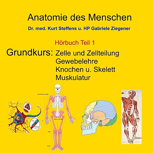 Anatomie des Menschen Teil 1, Dr. Kurt Steffens, Gabriele Ziegener