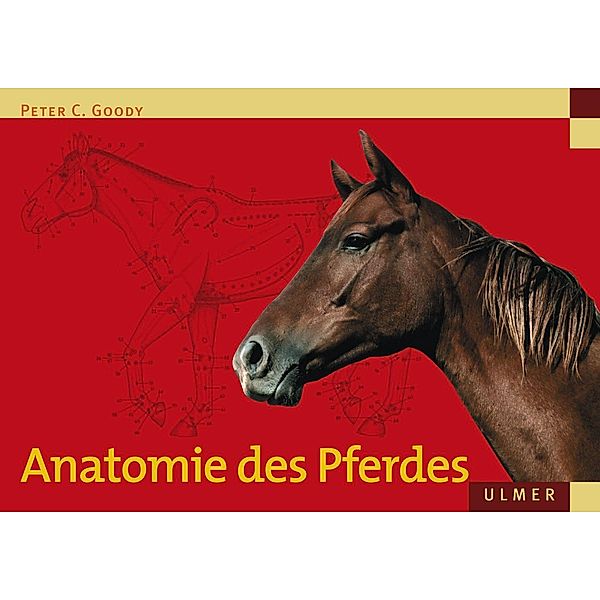 Anatomie des Pferdes, Peter C. Goody