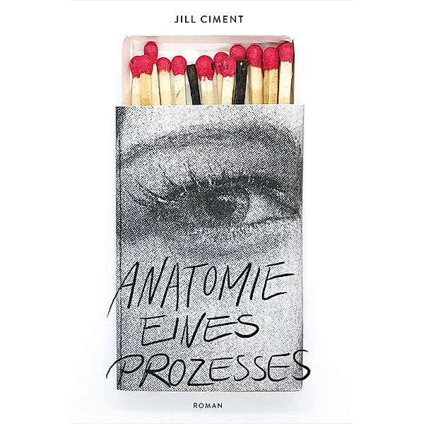 Anatomie eines Prozesses (eBook), Jill Ciment