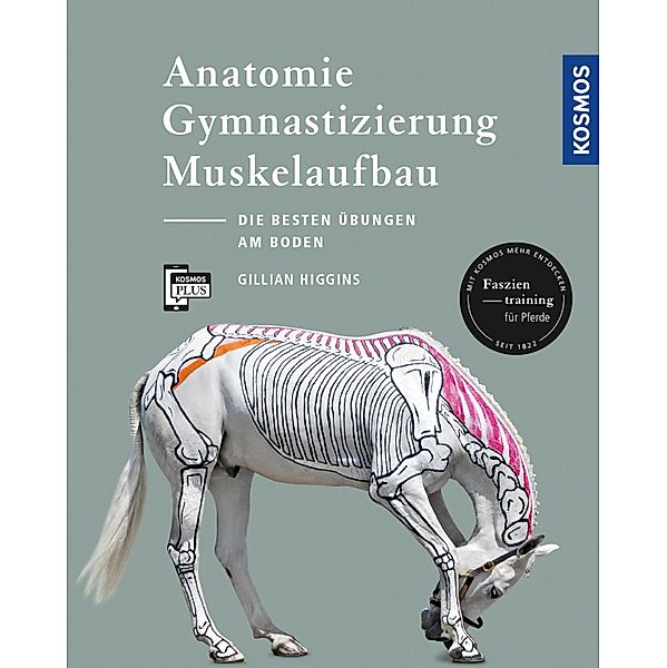 Anatomie, Gymnastizierung, Muskelaufbau, Gillian Higgins
