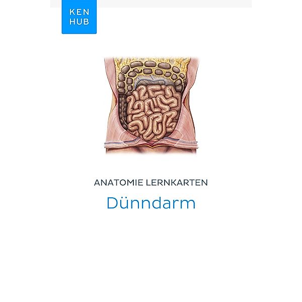 Anatomie Lernkarten: Dünndarm / Kenhub Lernkarten Bd.57