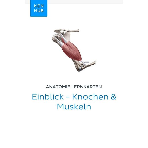 Anatomie Lernkarten: Einblick - Knochen & Muskeln / Kenhub Lernkarten Bd.19