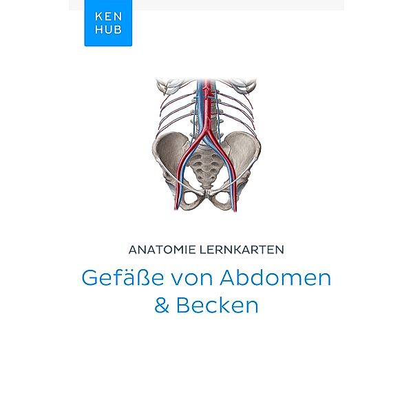 Anatomie Lernkarten: Gefäße von Abdomen & Becken / Kenhub Lernkarten Bd.77