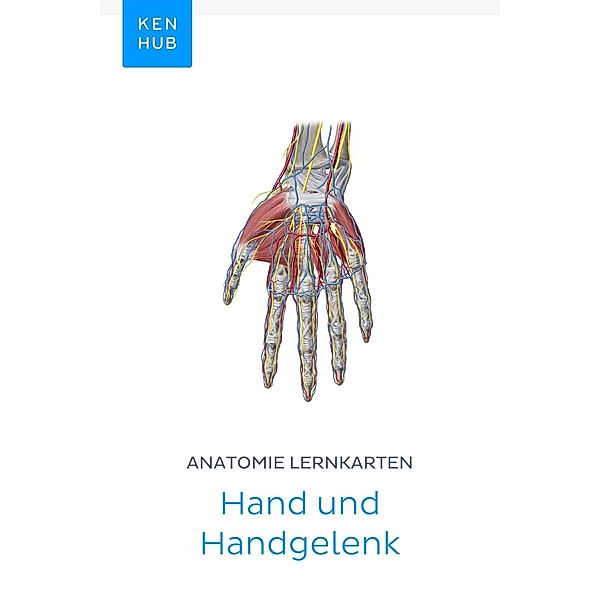 Anatomie Lernkarten: Hand und Handgelenk / Kenhub Lernkarten Bd.26