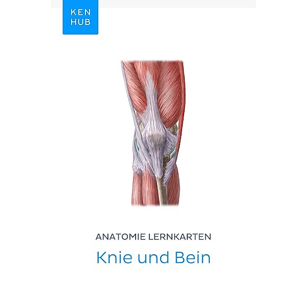 Anatomie Lernkarten: Knie und Bein / Kenhub Lernkarten Bd.20