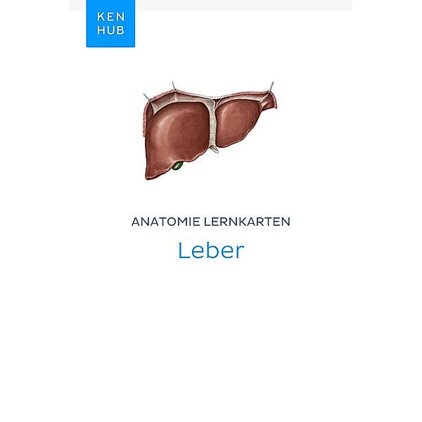 Anatomie Lernkarten: Leber / Kenhub Lernkarten Bd.37