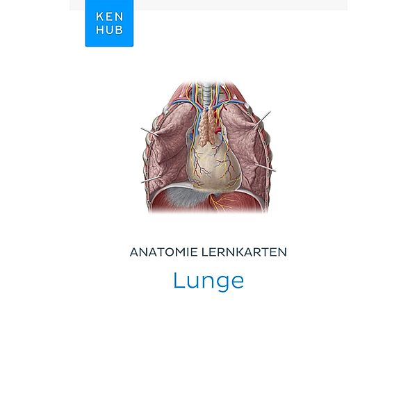 Anatomie Lernkarten: Lunge / Kenhub Lernkarten Bd.41