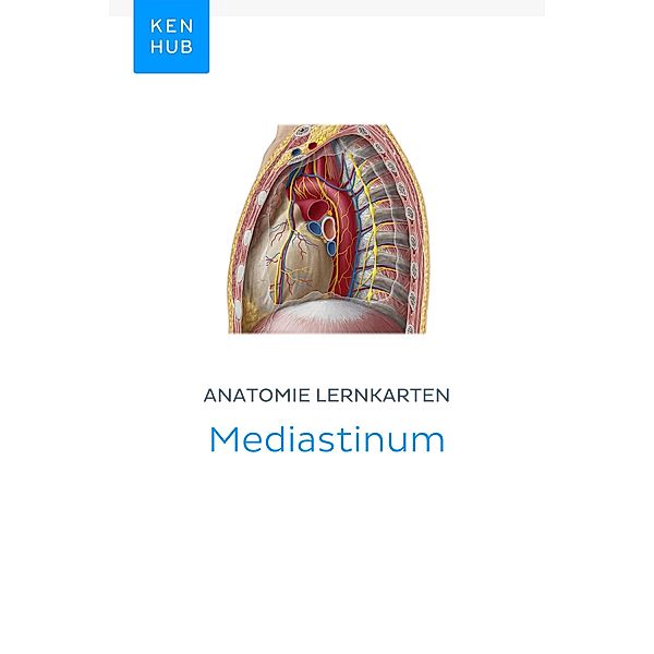 Anatomie Lernkarten: Mediastinum / Kenhub Lernkarten Bd.25