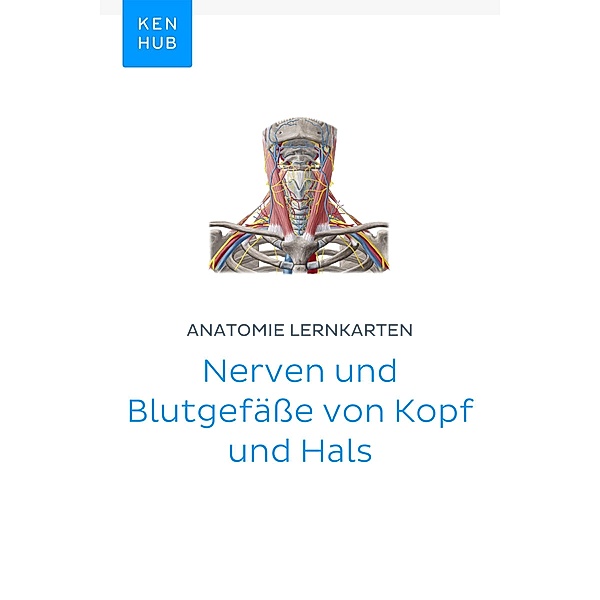 Anatomie Lernkarten: Nerven und Blutgefäße von Kopf und Hals / Kenhub Lernkarten Bd.69