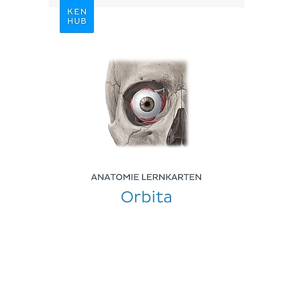 Anatomie Lernkarten: Orbita / Kenhub Lernkarten Bd.31