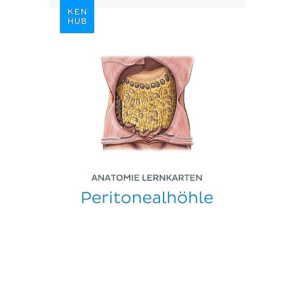 Anatomie Lernkarten: Peritonealhöhle / Kenhub Lernkarten Bd.10