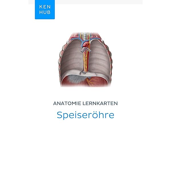 Anatomie Lernkarten: Speiseröhre / Kenhub Lernkarten Bd.30