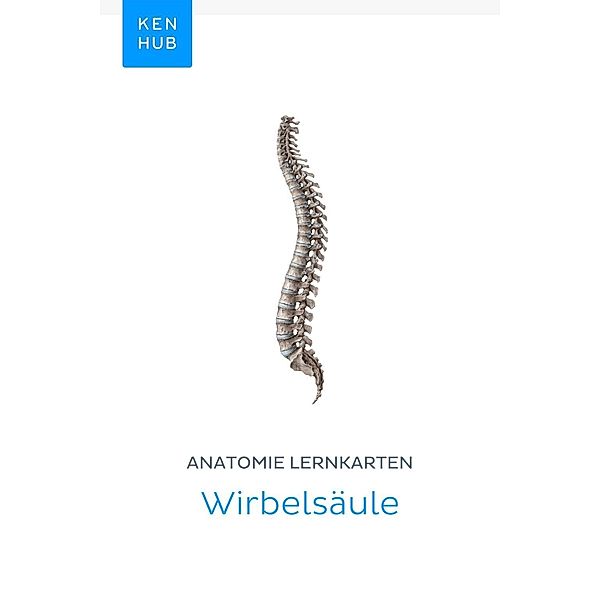 Anatomie Lernkarten: Wirbelsäule / Kenhub Lernkarten Bd.11