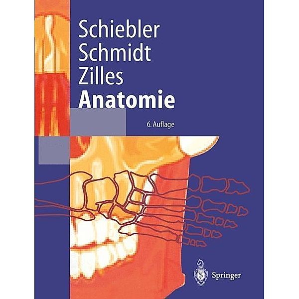 Anatomie / Springer-Lehrbuch