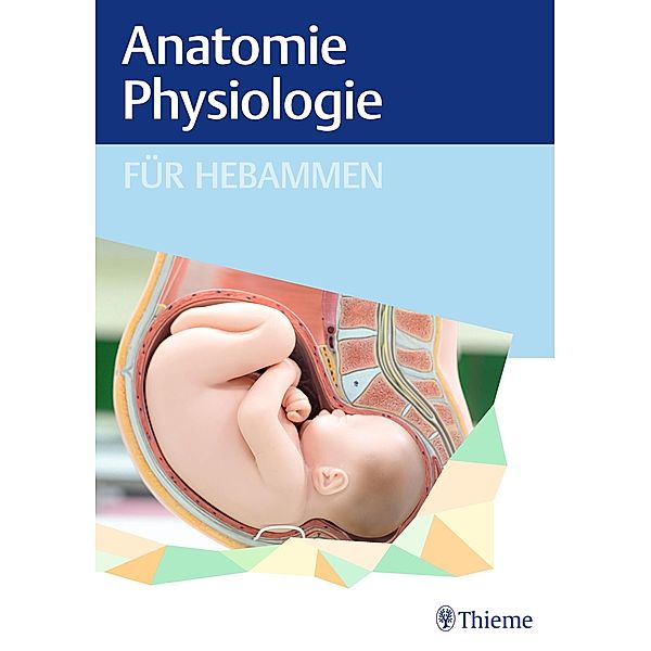 Anatomie und Physiologie für Hebammen